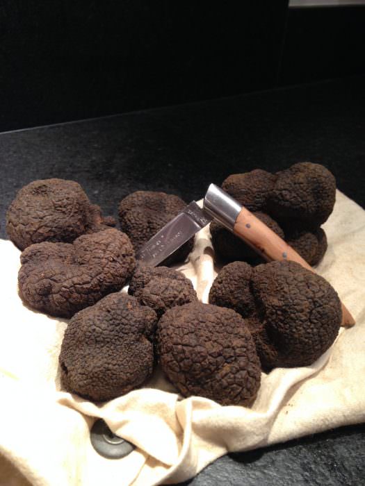 terroir truffe cr yann galy