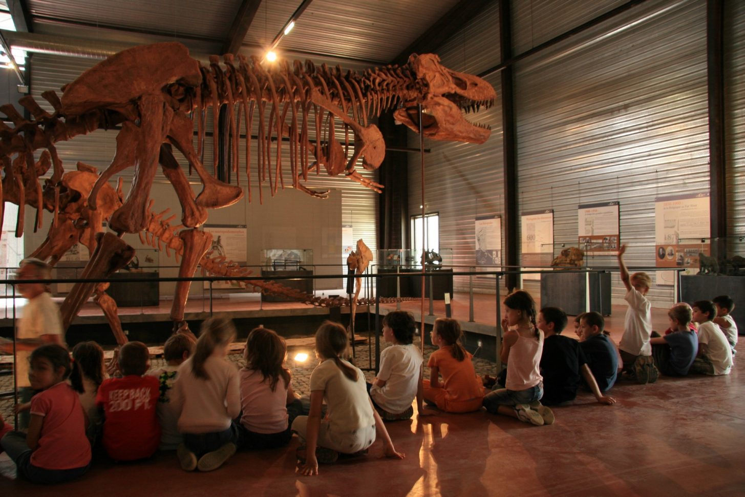 Visite du musée des dinosaures à Esperaza ©CCI Carcassonne