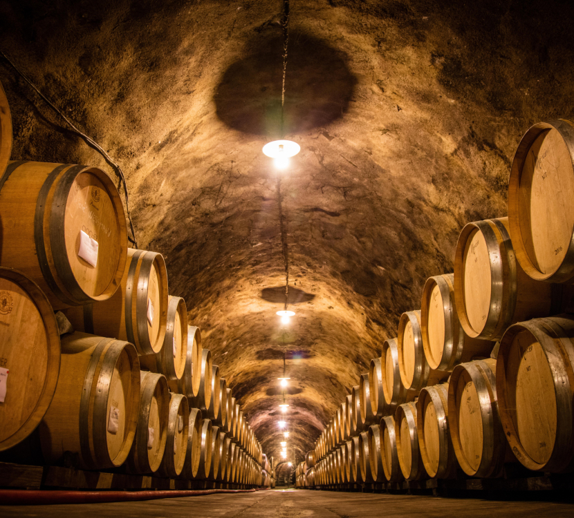 parcours oenotouristique au caveau Sieur D'Arques, à Limoux.  Premières bulles, blanquette et vins tranquilles